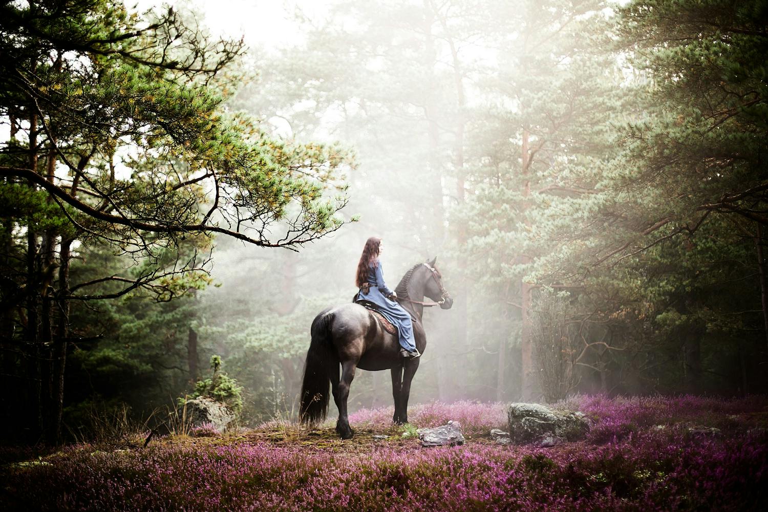 Beste unge nordiske fotograf 2017 Vinnerbildet fra Nordisk Talent Award 2017 av Miina Anahita
